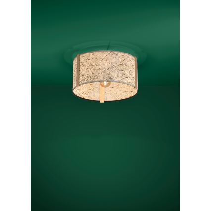 Eglo - Iluminação de teto 1xE27/25W/230V bege