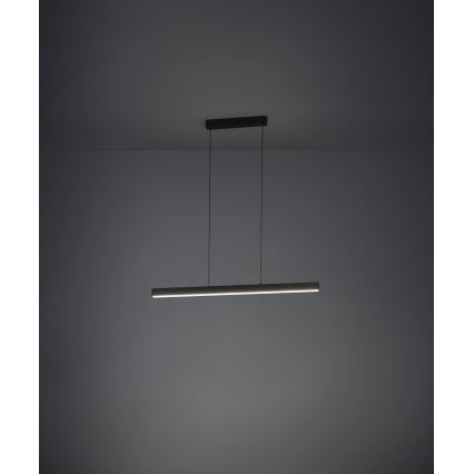 Eglo - Candeeiro suspenso LED com regulação LED/20W/230V 3000K preto