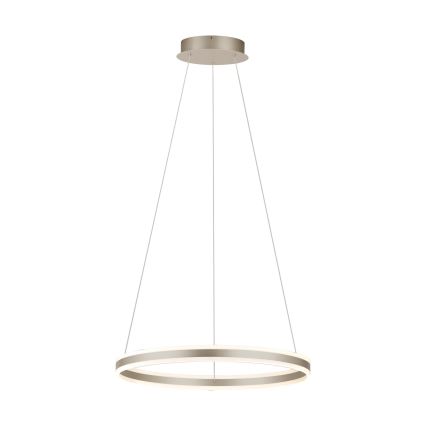 Eglo - Candelabro num fio fosco LED LED/78W/230V