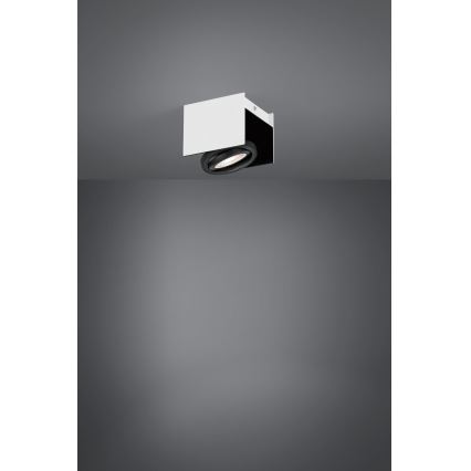 Eglo - Foco LED com regulação LED/5,4W/230V