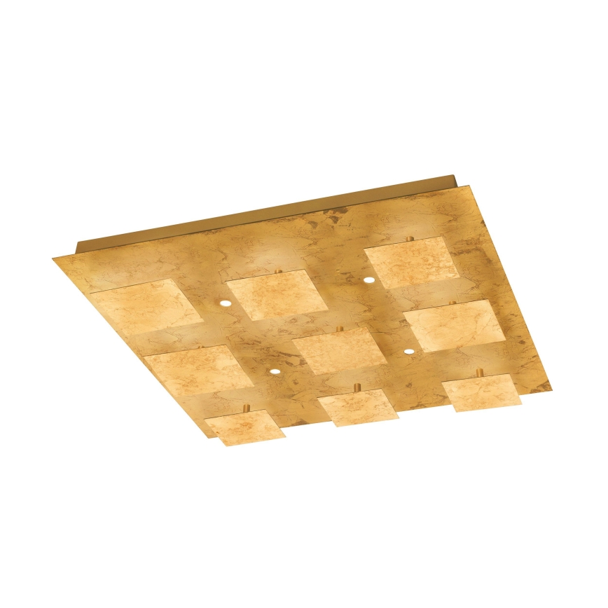 Eglo - LED Luz com regulação 4xLED/5,4W/230V + 9xLED/4,5W
