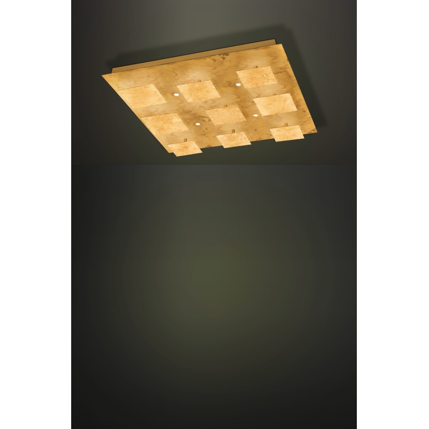 Eglo - LED Luz com regulação 4xLED/5,4W/230V + 9xLED/4,5W