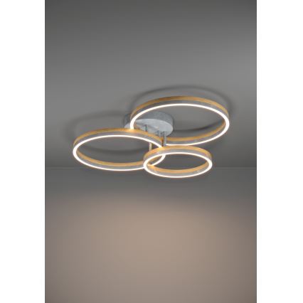 Eglo - Candeeiro integrado LED com regulação LED/12,5W/230V + 2xLED/15,5W 3000K cinzento/castanho
