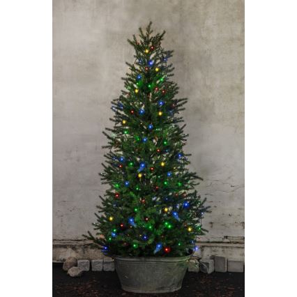 Eglo - Corrente exterior de Natal LED LED 160xLED 2m IP44 multicolor