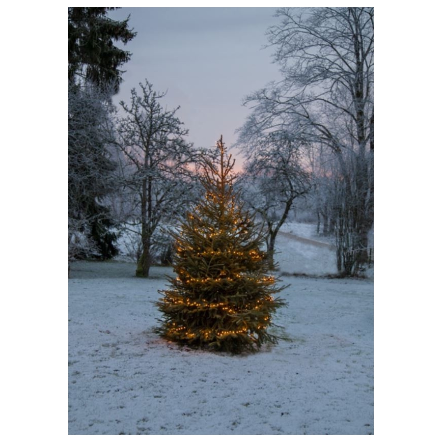 Eglo - Corrente exterior de Natal LED 1200xLED 24m IP44 branco quente
