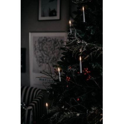 Eglo - Árvore de Natal 250 cm abeto
