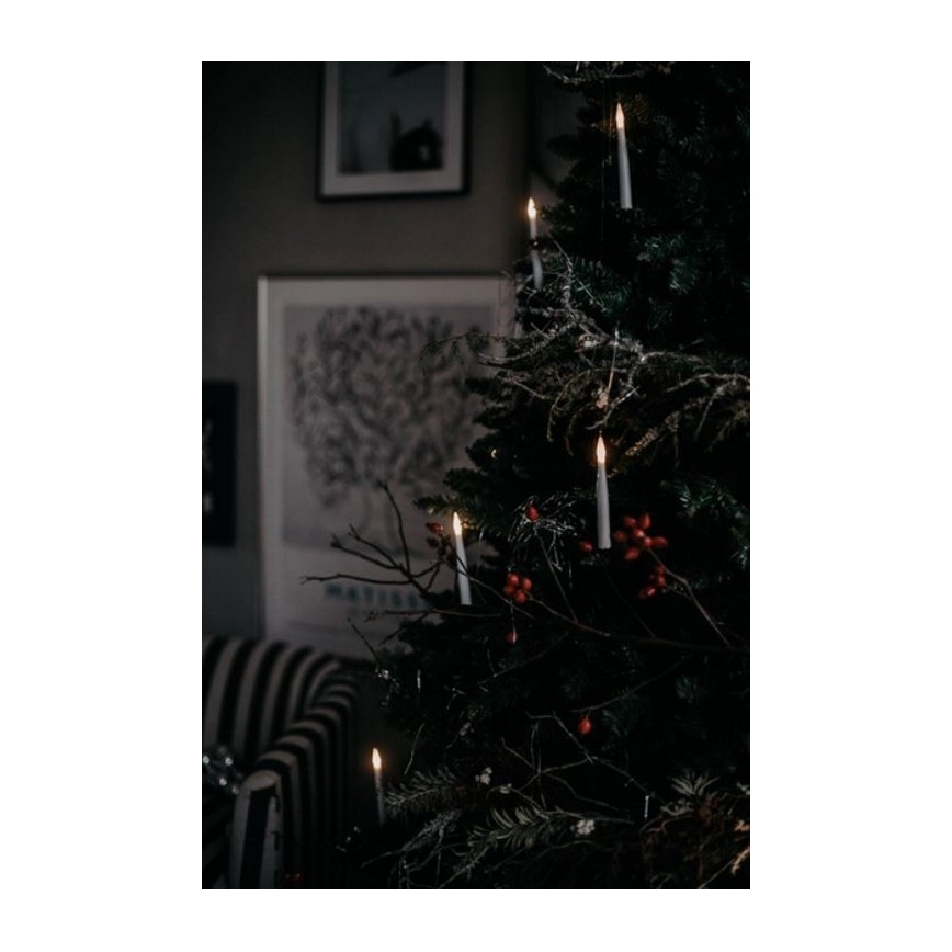 Eglo - Árvore de Natal 250 cm abeto