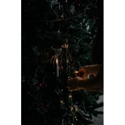 Eglo - Árvore de Natal 250 cm abeto