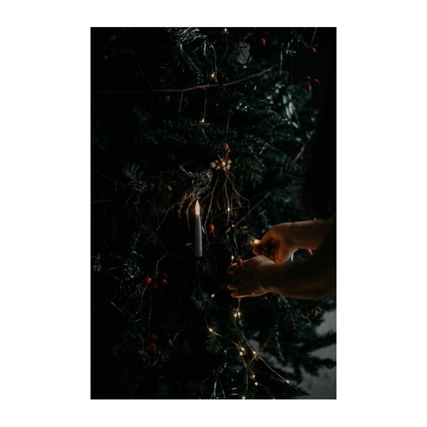 Eglo - Árvore de Natal 250 cm abeto