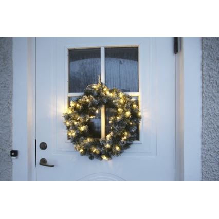 Eglo  - Grinalda exterior de Natal LED 30xLED/0,064W/3/230V IP44