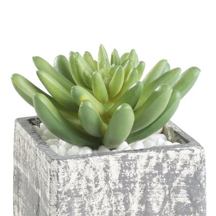 Eglo - Planta artificial num vaso 12x7,5 cm suculento
