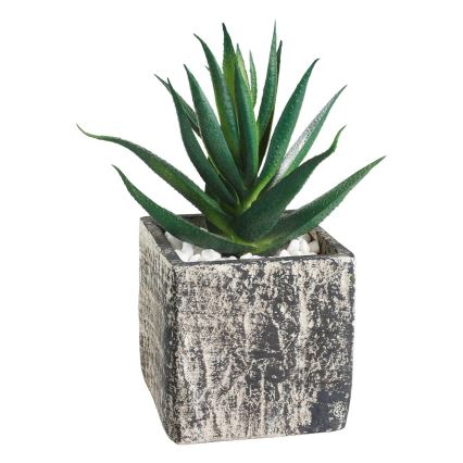 Eglo - Planta artificial num vaso 13x9,5 cm suculento