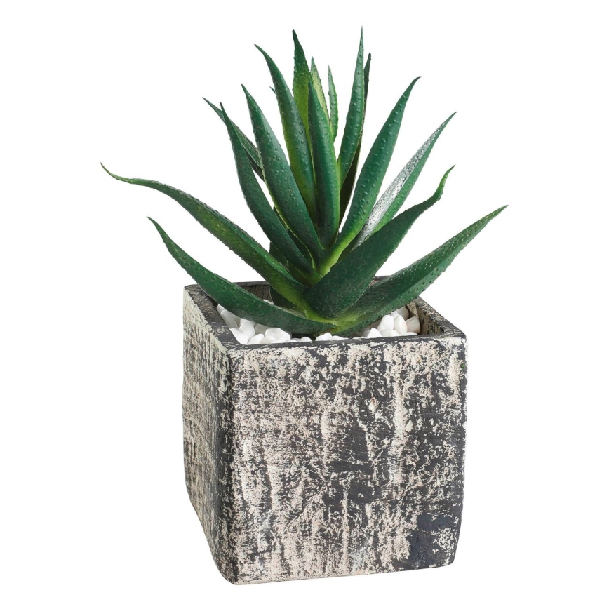 Eglo - Planta artificial num vaso 13x9,5 cm suculento