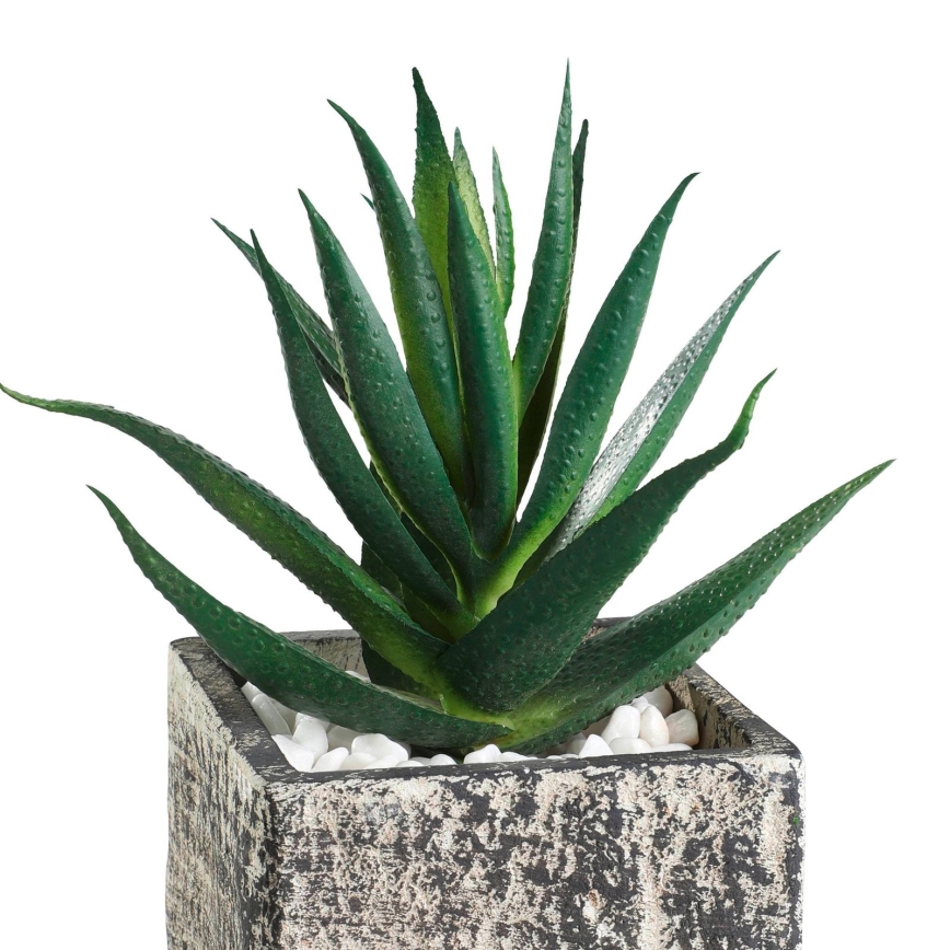 Eglo - Planta artificial num vaso 13x9,5 cm suculento