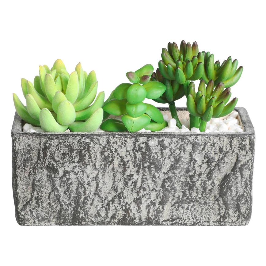 Eglo - Planta artificial num vaso 14,5x17,8 cm suculento