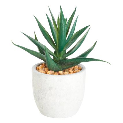 Eglo - Planta artificial num vaso 15,5x10 cm suculento