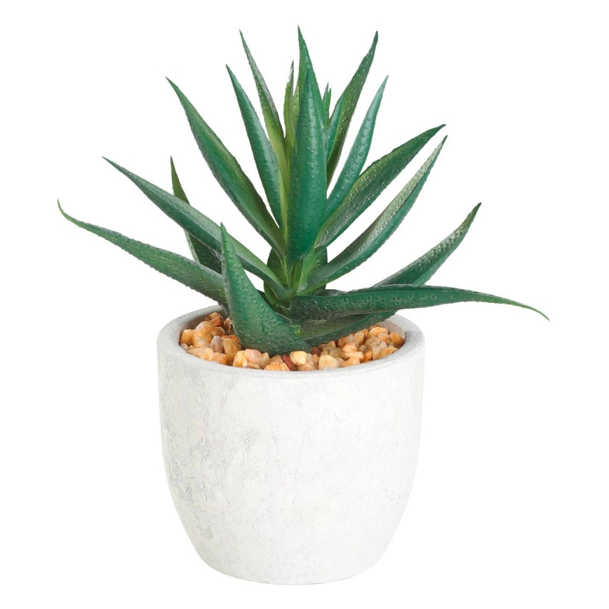 Eglo - Planta artificial num vaso 15,5x10 cm suculento