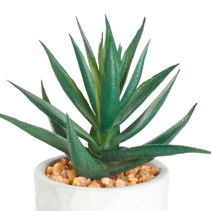 Eglo - Planta artificial num vaso 15,5x10 cm suculento