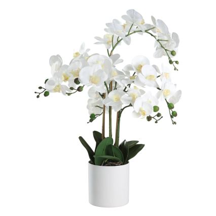 Eglo - Planta artificial num vaso 65x50 cm orquídea
