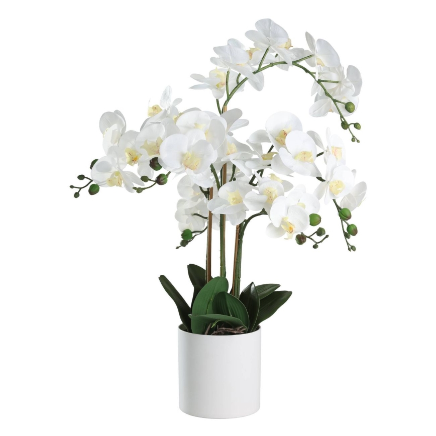 Eglo - Planta artificial num vaso 65x50 cm orquídea