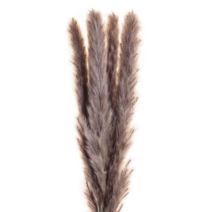 Eglo - Flor seca 60 cm roxo