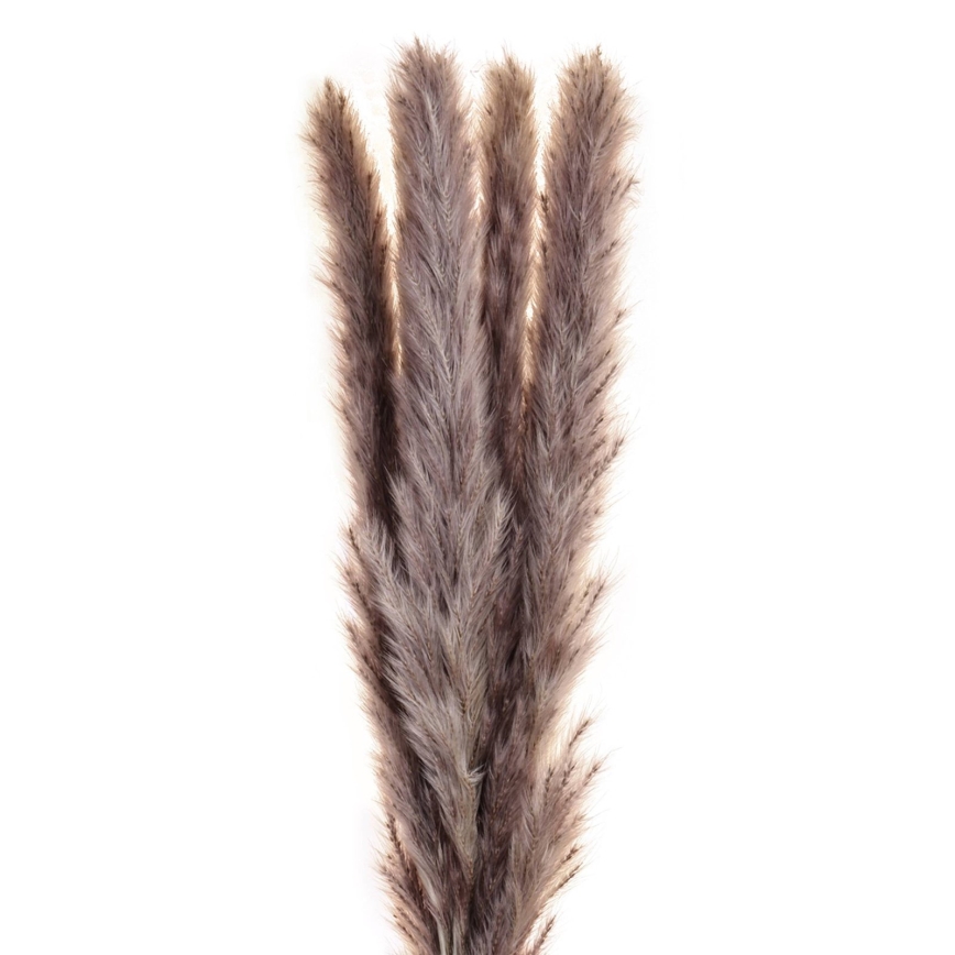 Eglo - Flor seca 60 cm roxo