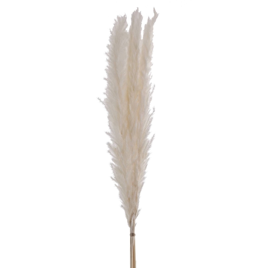 Eglo - Flor seca 70 cm branco