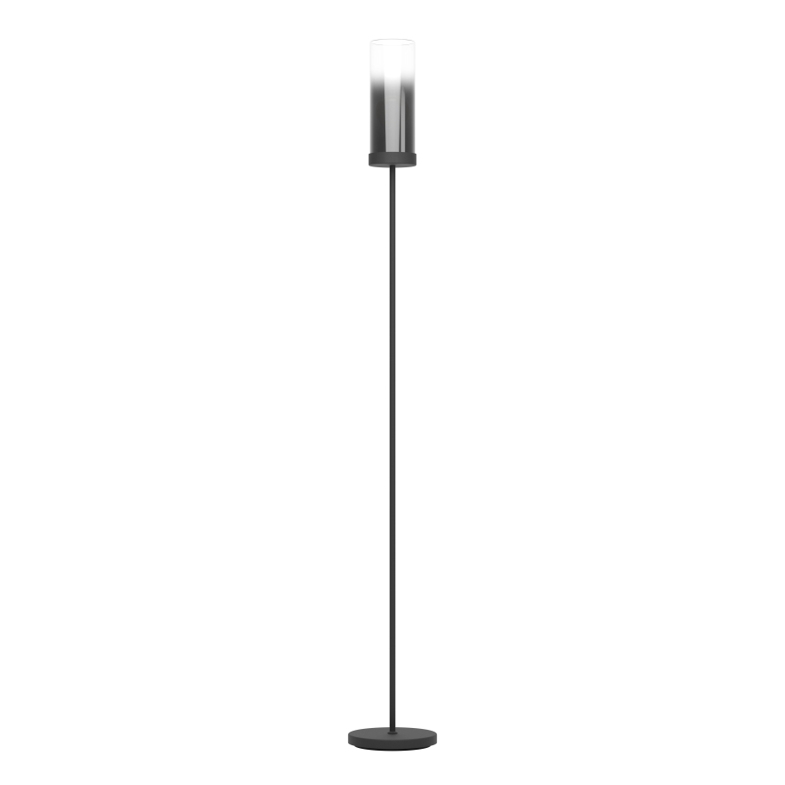 Eglo - Candeeiro de chão 1xE27/40W/230V preto