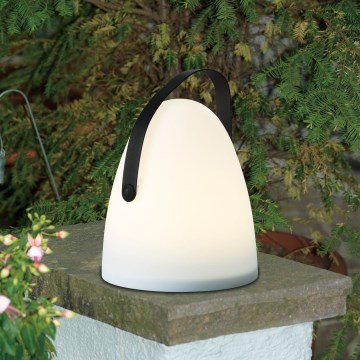Eglo 48841 - Candeeiro de mesa exterior LED COLLIRADOS LED/3xAA IP44