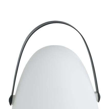 Eglo 48841 - Candeeiro de mesa exterior LED COLLIRADOS LED/3xAA IP44