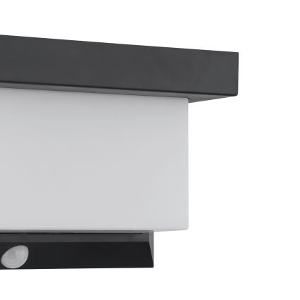 Eglo - Iluminação solar de parede LED com sensor LED/3,84W/3,7V IP44