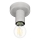 Eglo 64106 - Iluminação de teto IGUALA 1xE27/40W/230V cinzento