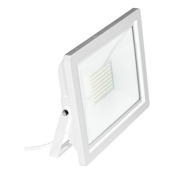 Eglo 64843 - Holofote LED FILETTI LED/50W/230V 3000K IP65 branco