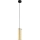 Eglo 79342 - Candeeiro suspenso PINTO GOLD 1xE27/40W/230V dourado
