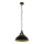 Eglo 79463 - Candeeiro suspenso PETRITOLI 1xE27/60W/230V preto
