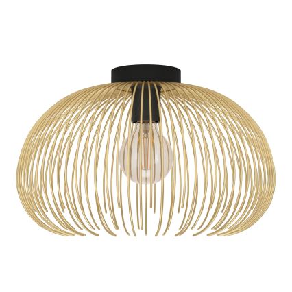Eglo - Iluminação de teto 1xE27/40W/230V