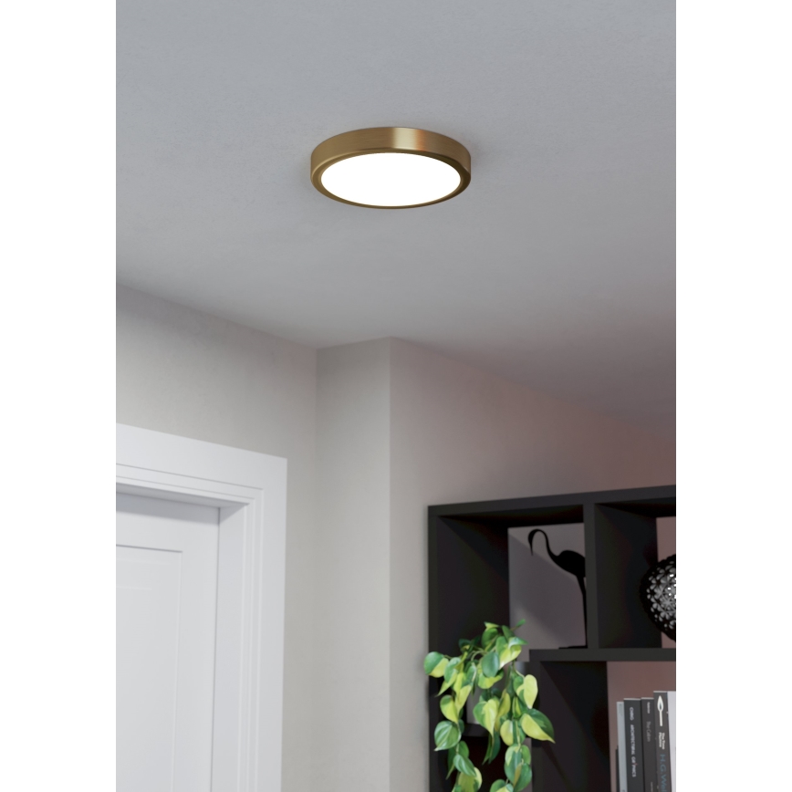 Eglo - Iluminação de teto LED LED/17W/230V diâmetro 21 cm