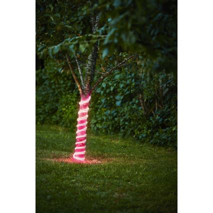 Eglo - Tira LED LED/96W/24V 5 m IP44 rosa