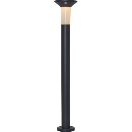 Eglo - Candeeiro solar exterior LED com sensor 6xLED/0,03W/3,7V IP44
