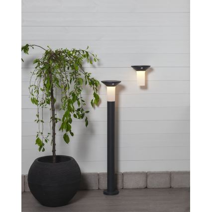 Eglo - Candeeiro solar exterior LED com sensor 6xLED/0,03W/3,7V IP44