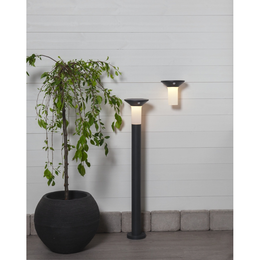Eglo - Candeeiro solar exterior LED com sensor 6xLED/0,03W/3,7V IP44
