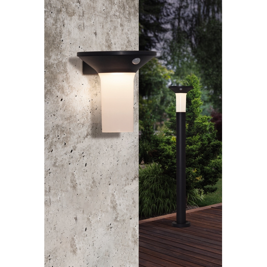 Eglo - Candeeiro solar exterior LED com sensor 6xLED/0,03W/3,7V IP44