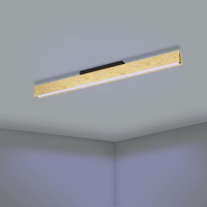 Eglo - Iluminação de teto LED RGBW com regulação LED/35W/230V 2700-6500K