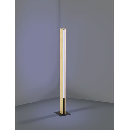 Eglo - Candeeiro de chão LED RGBW com regulação LED/35W/230V 2700-6500K