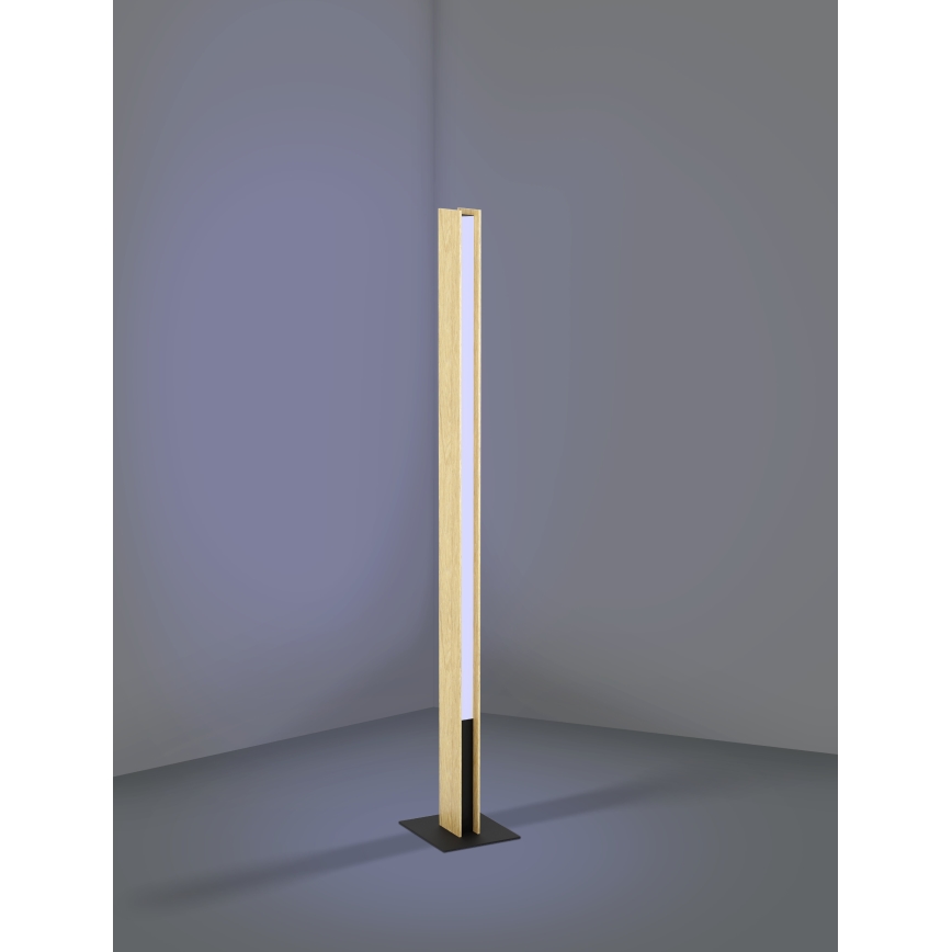 Eglo - Candeeiro de chão LED RGBW com regulação LED/35W/230V 2700-6500K