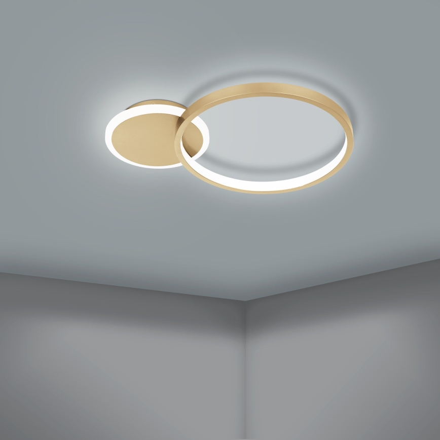 Eglo - Iluminação de teto LED com regulação LED/15W/230V dourado + controlo remoto