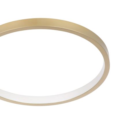 Eglo - Iluminação de teto LED com regulação LED/15W/230V dourado + controlo remoto