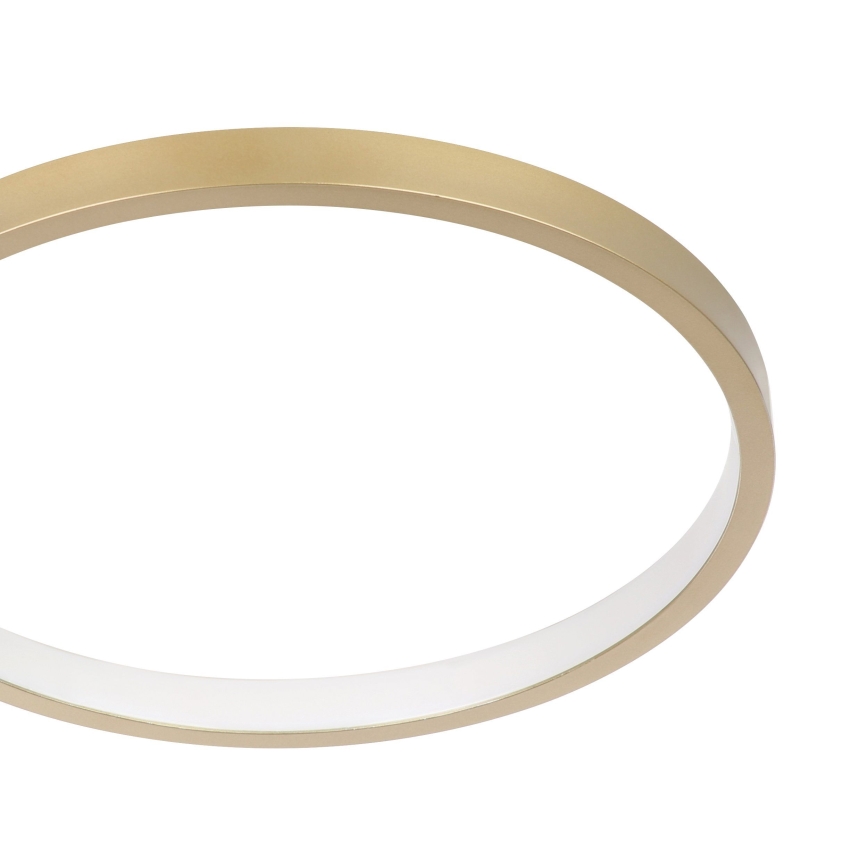 Eglo - Iluminação de teto LED com regulação LED/15W/230V dourado + controlo remoto