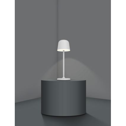 Eglo - LED Regulação exterior rechargeable candeeiro LED/2,2W/5V 1800 mAh cinzento IP54