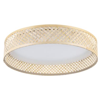 Eglo - Iluminação de teto LED LED/24W/230V